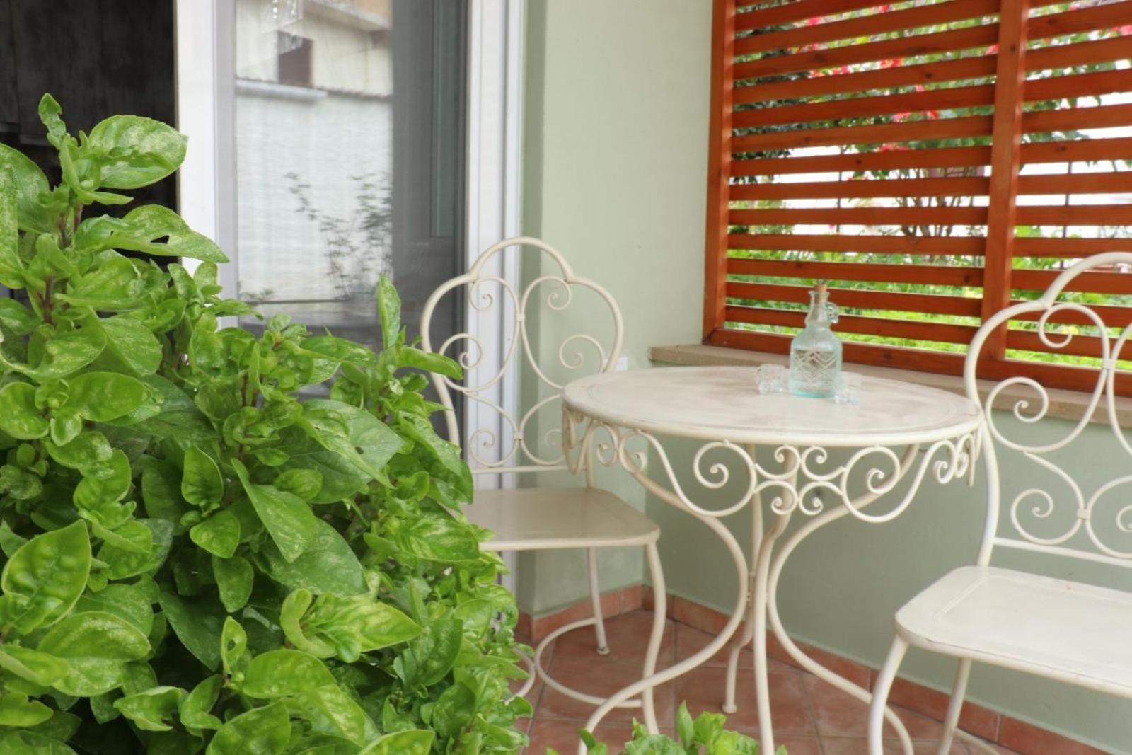 Vitis Vinifera Tranditional Studio * Kissamos